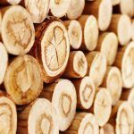 Closeup of wooden logs piled up together